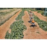 Glebogryzarka STIHL MH 600
